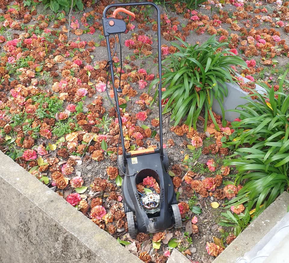 The photograph attached to this dumped rubbish report