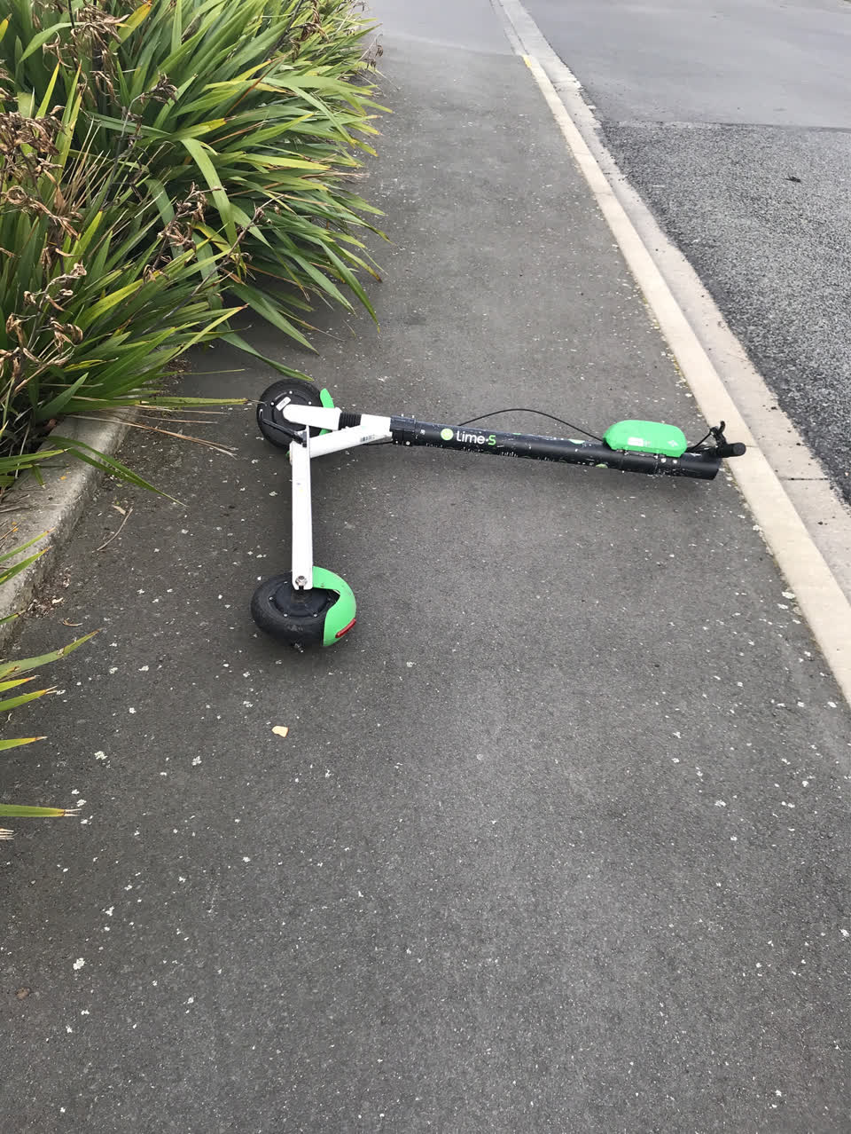 The photograph attached to this pavement - general report