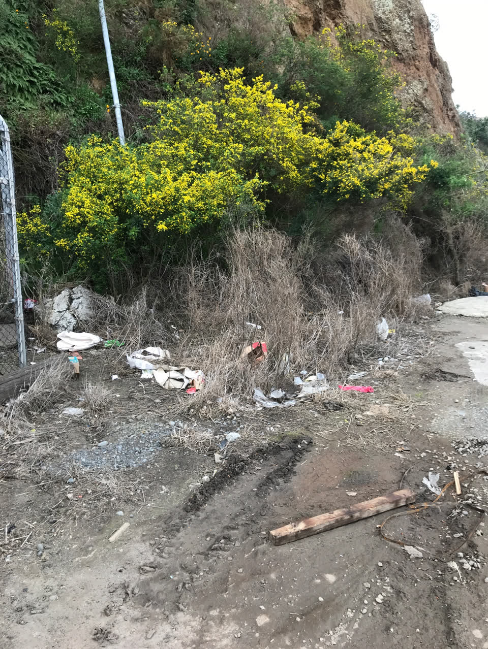 The photograph attached to this litter report