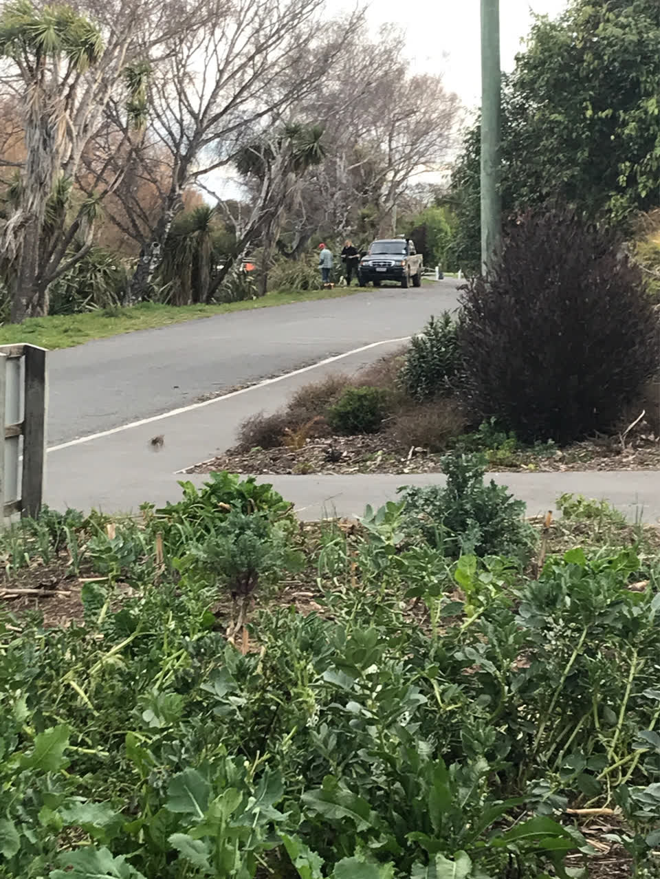 The photograph attached to this parking - illegal report