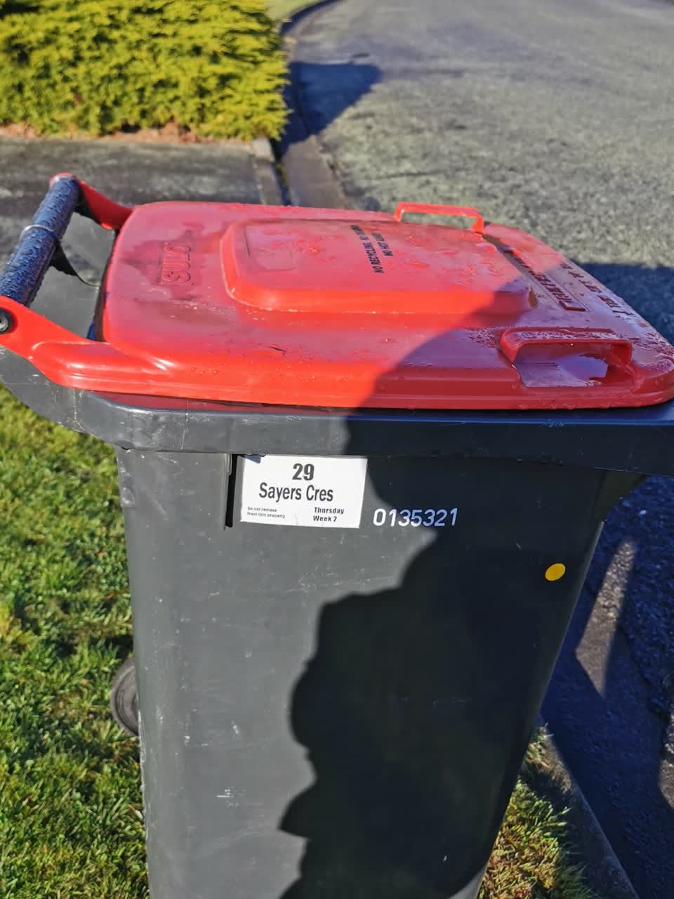 The photograph attached to this rubbish and bins - general report