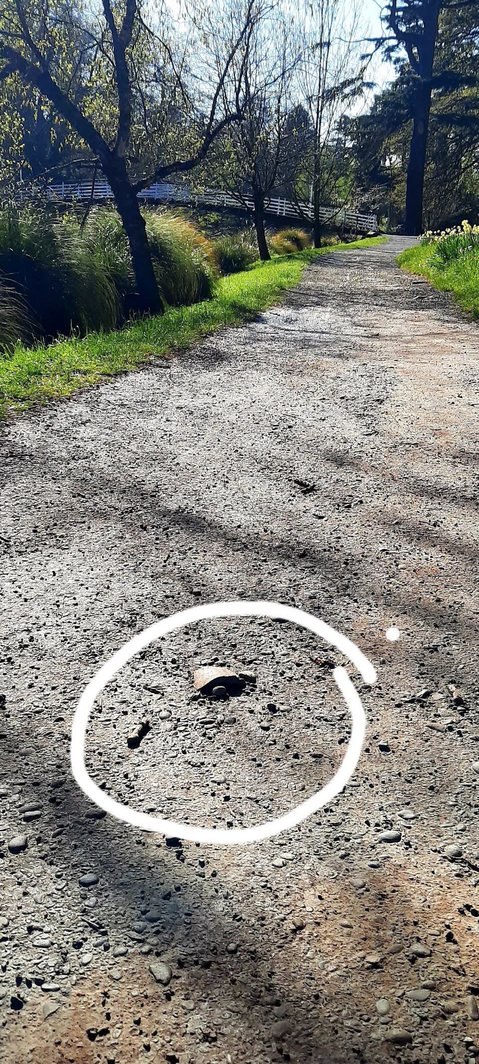 The photograph attached to this parks report