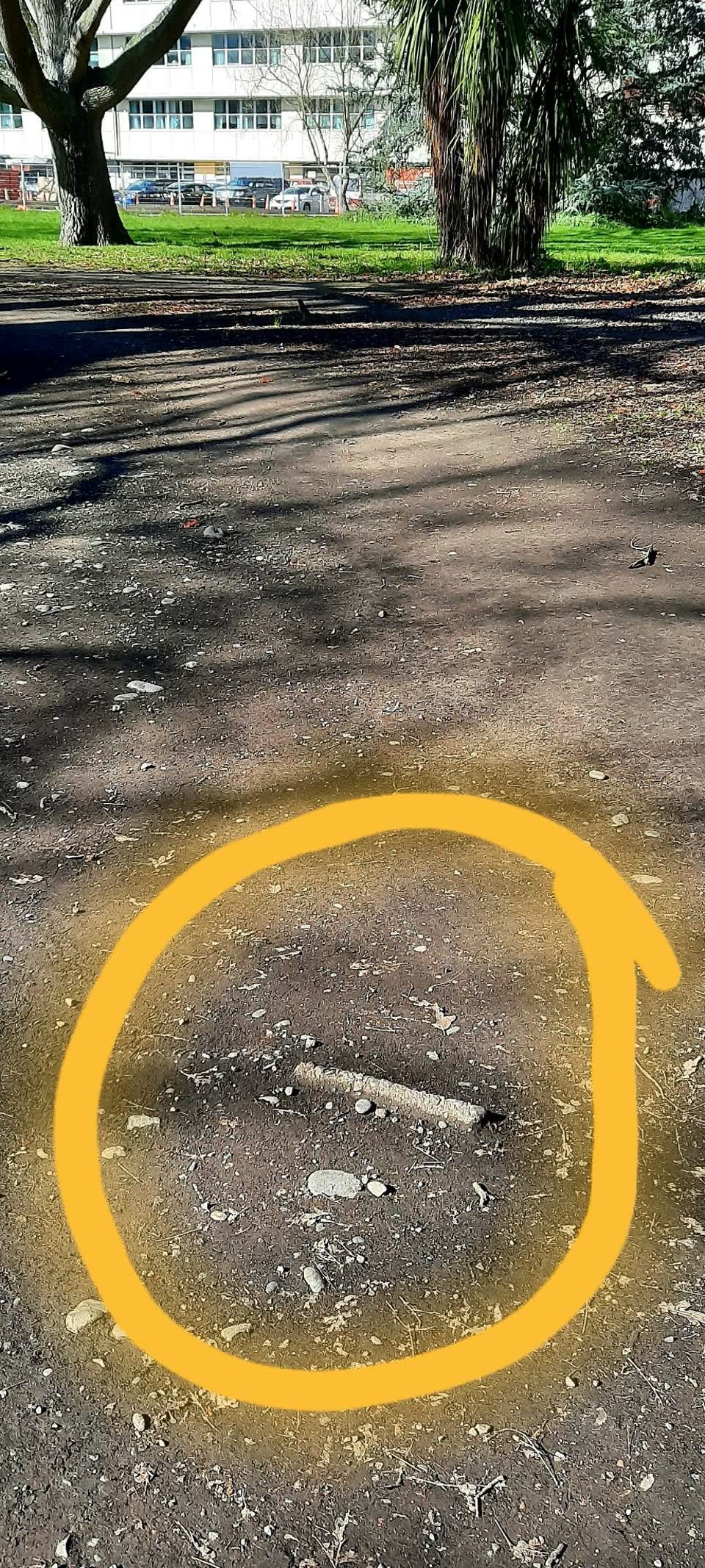 The photograph attached to this parks report