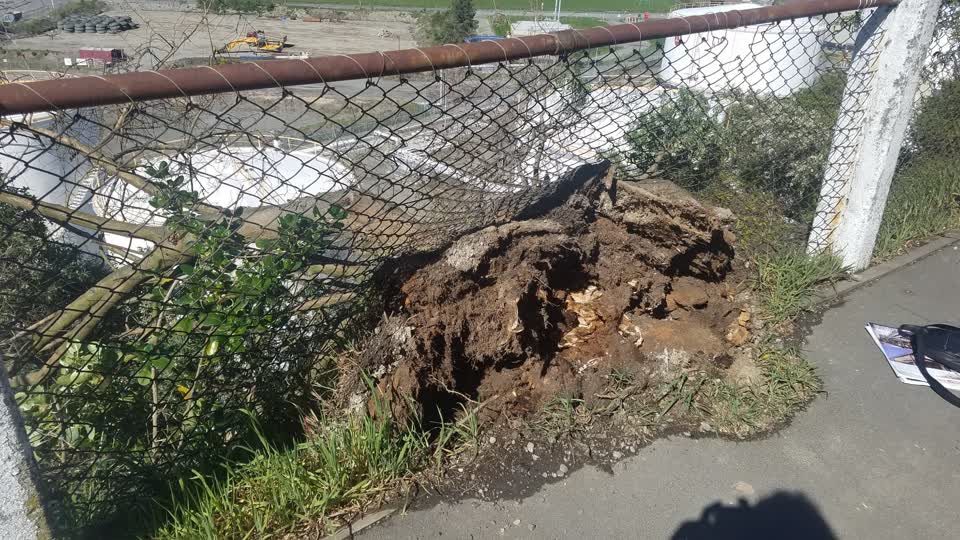The photograph attached to this pavement - damaged report