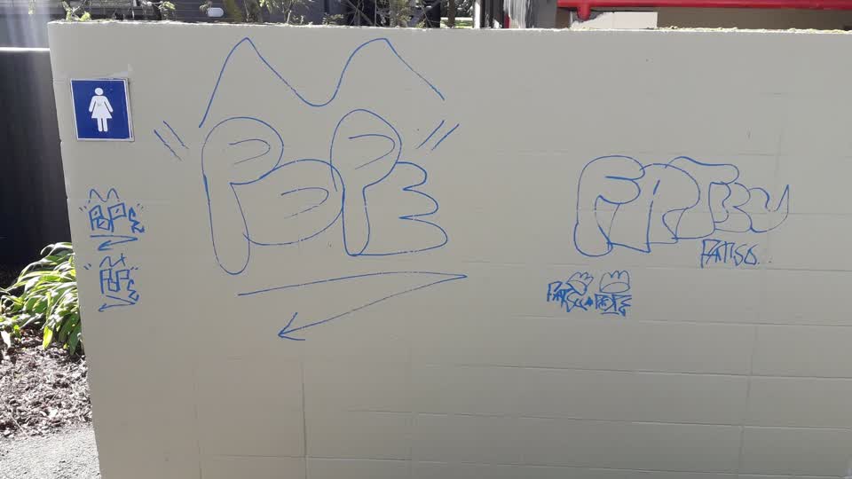 The photograph attached to this graffiti - public property report