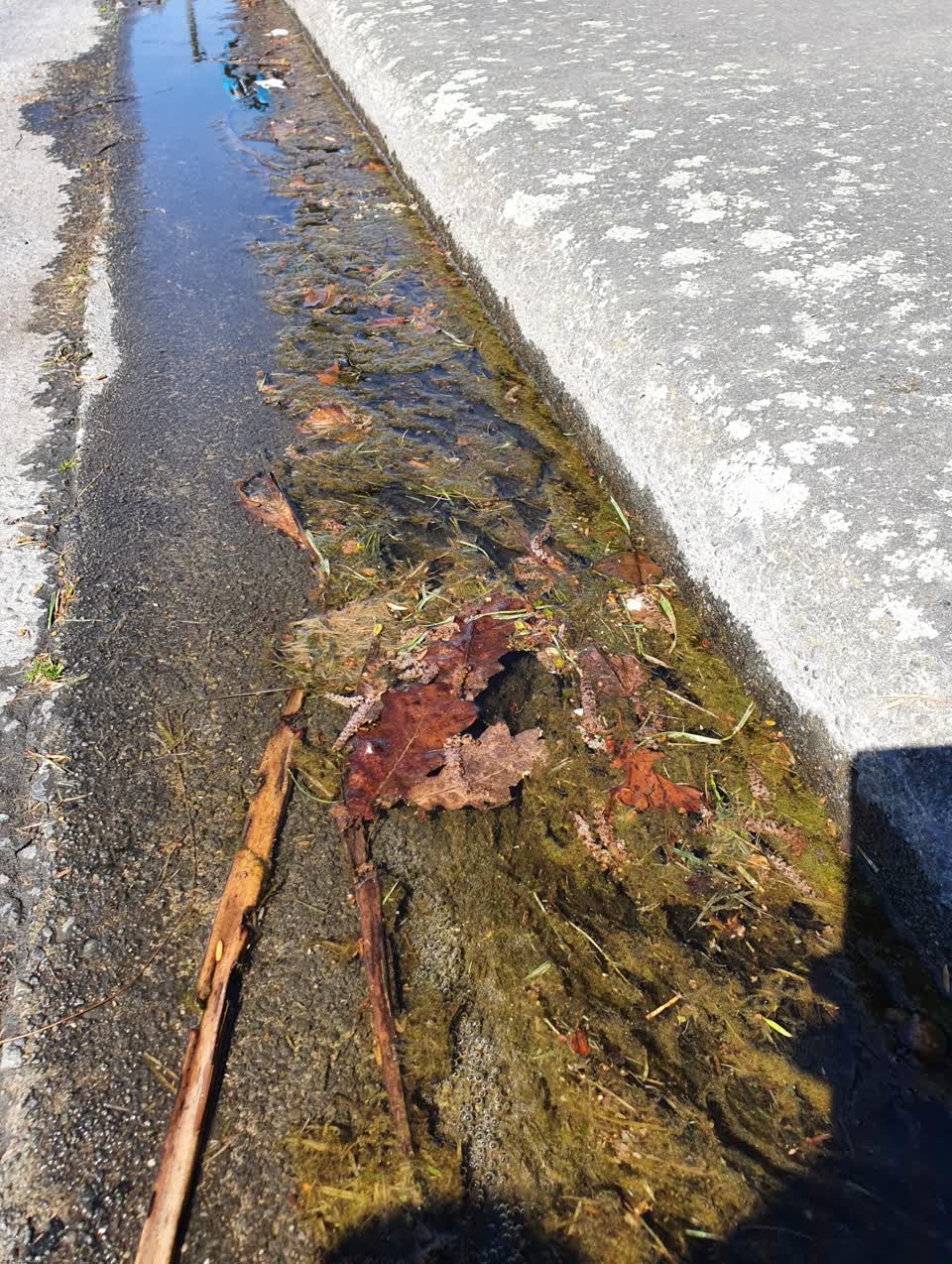 The photograph attached to this wastewater/stormwater report