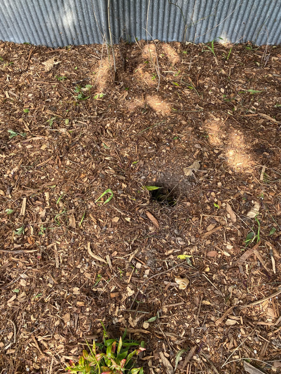 The photograph attached to this parks report