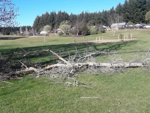 Parks, a report photo