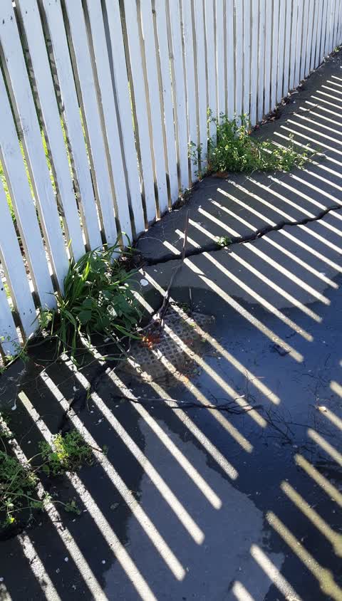 Water Leak, a report photo