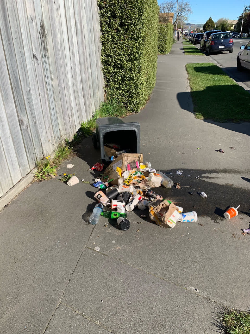 The photograph attached to this dumped rubbish report