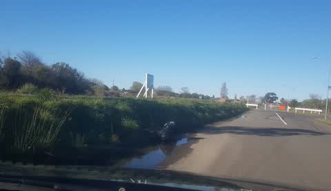 Litter — a report photo