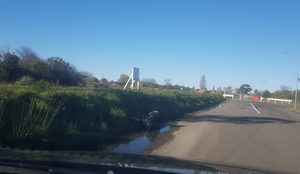 The photograph attached to this litter report