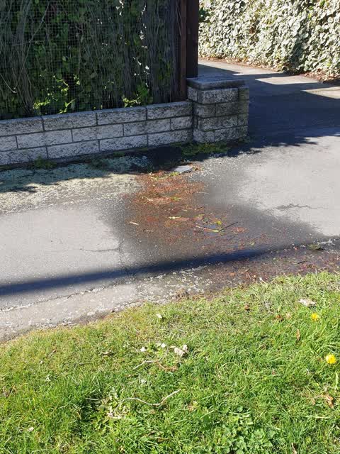 Water Leak, a report photo