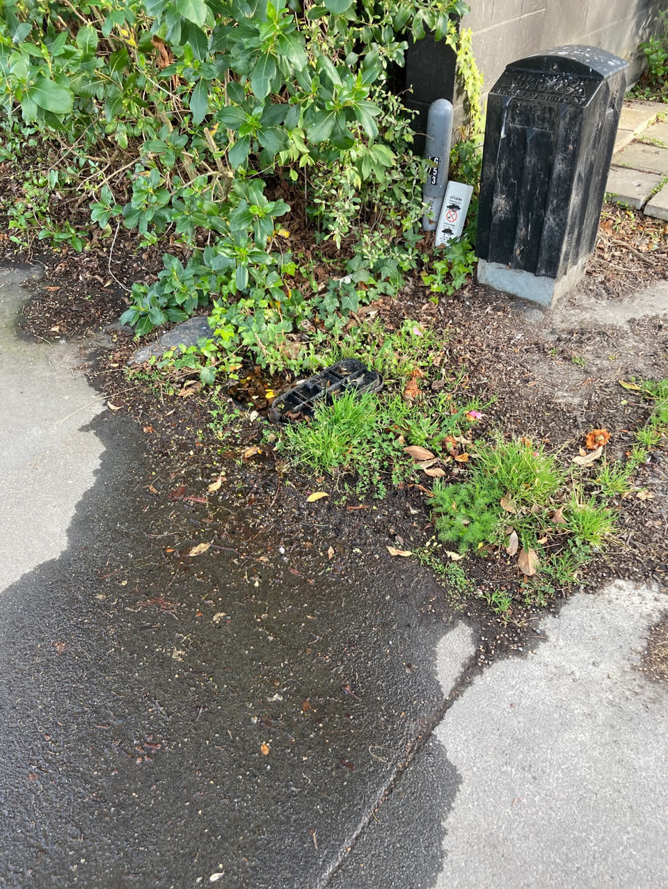 The photograph attached to this water supply report