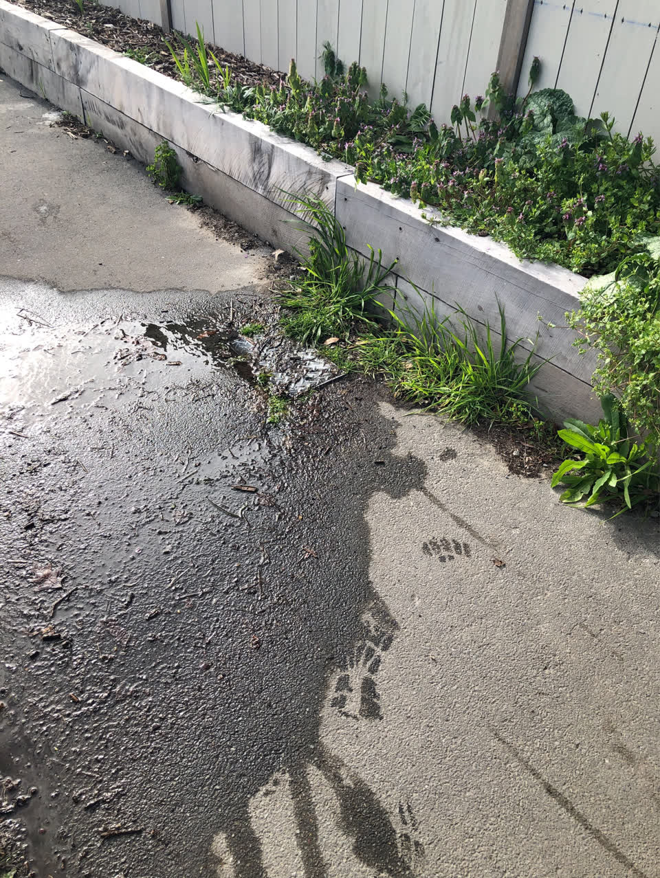 The photograph attached to this water leak report