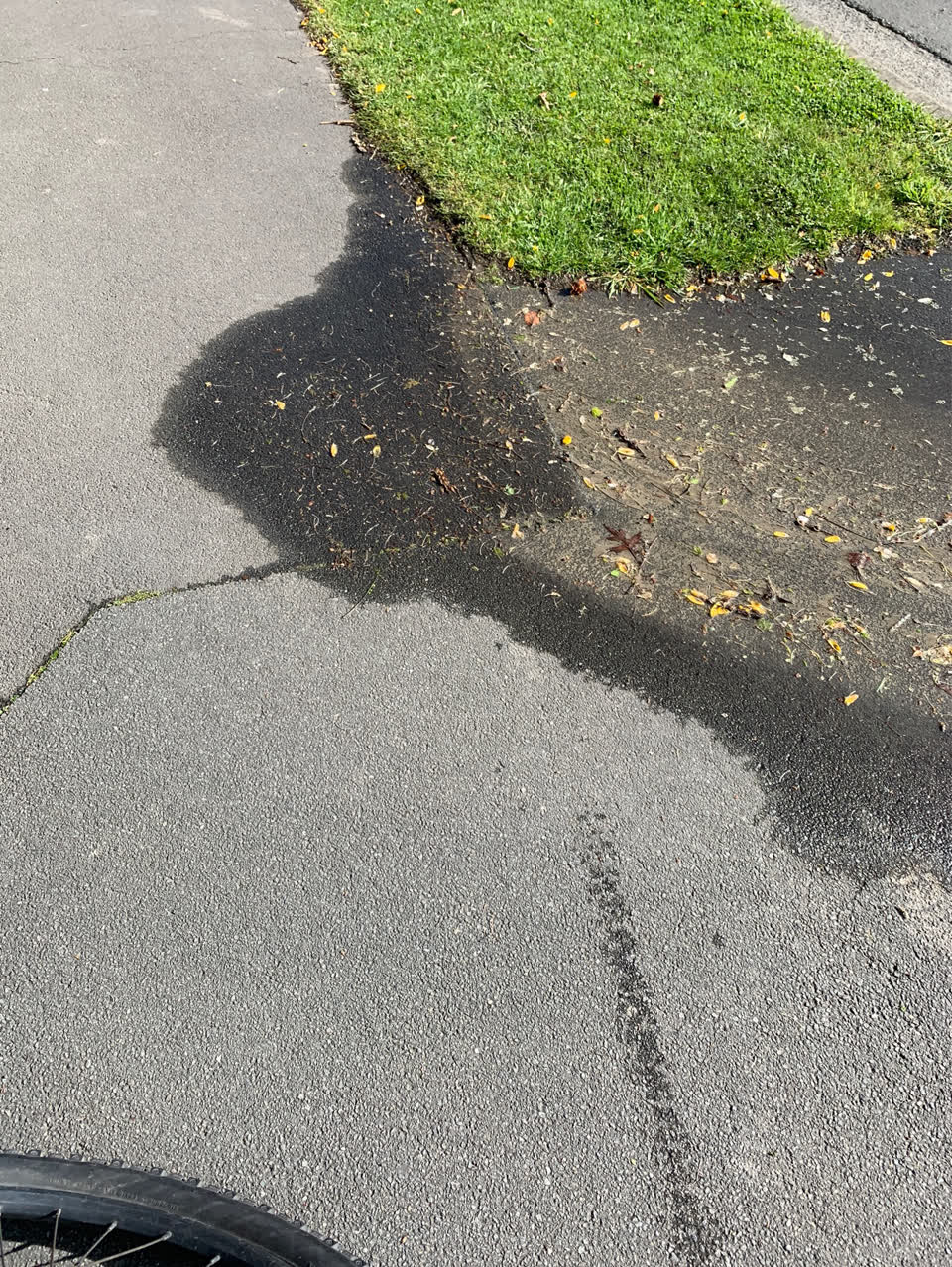 The photograph attached to this water leak report