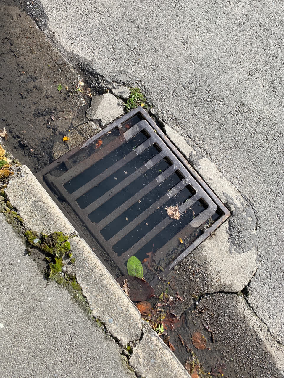 The photograph attached to this sewer - leak / blockage report