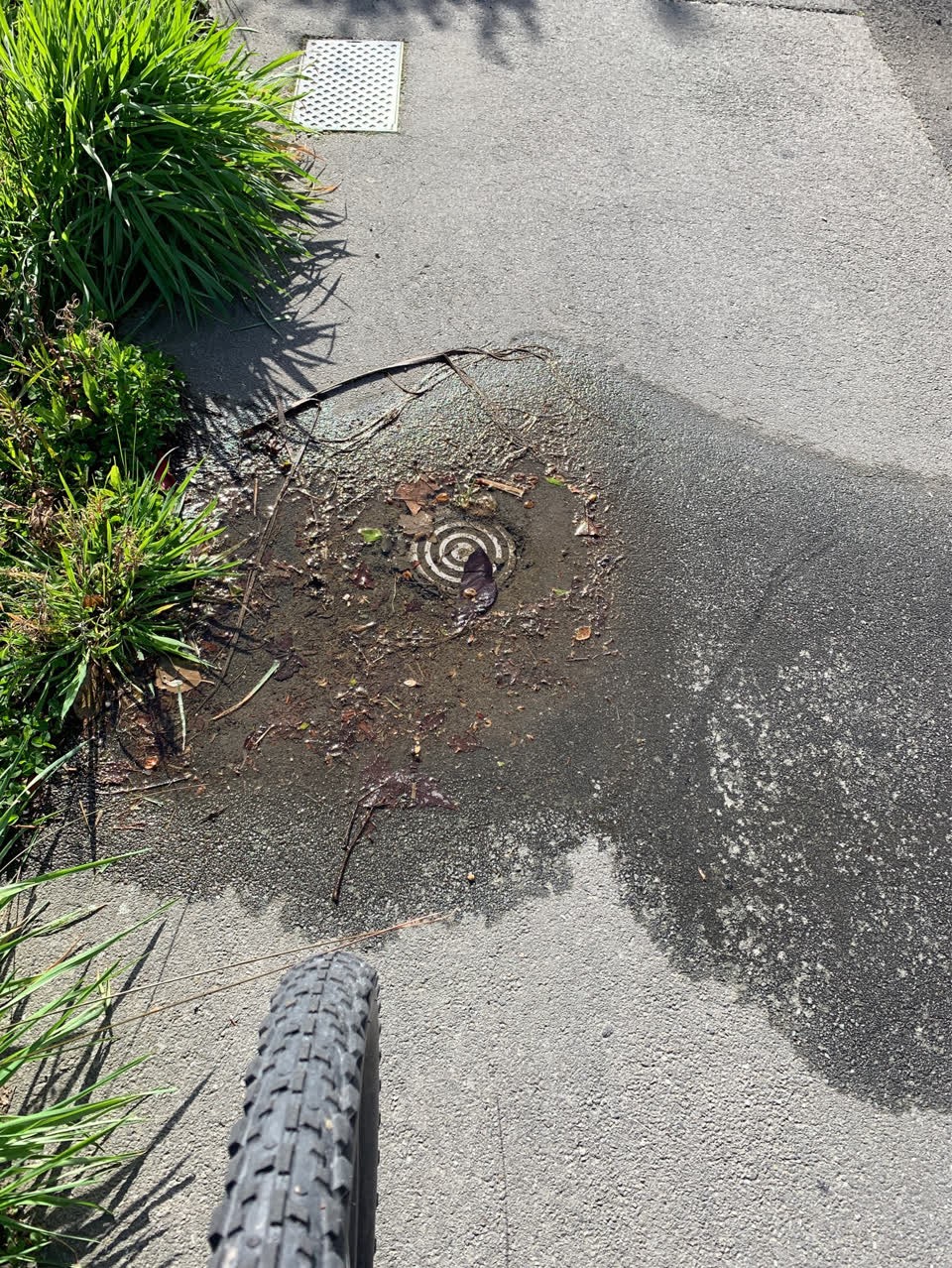 The photograph attached to this water leak report
