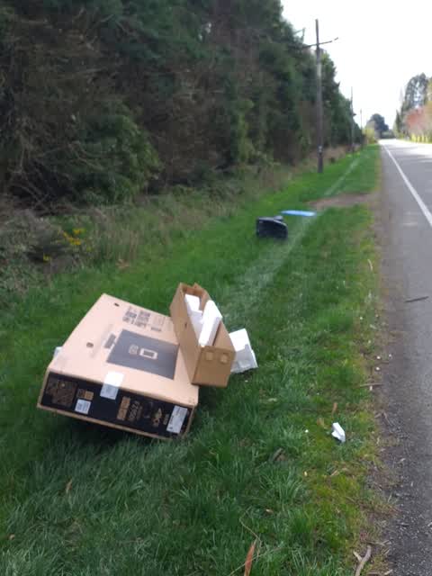 Litter, a report photo