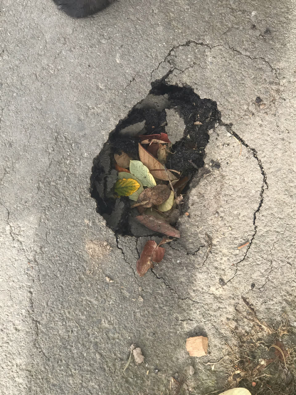 The photograph attached to this facility - general request report