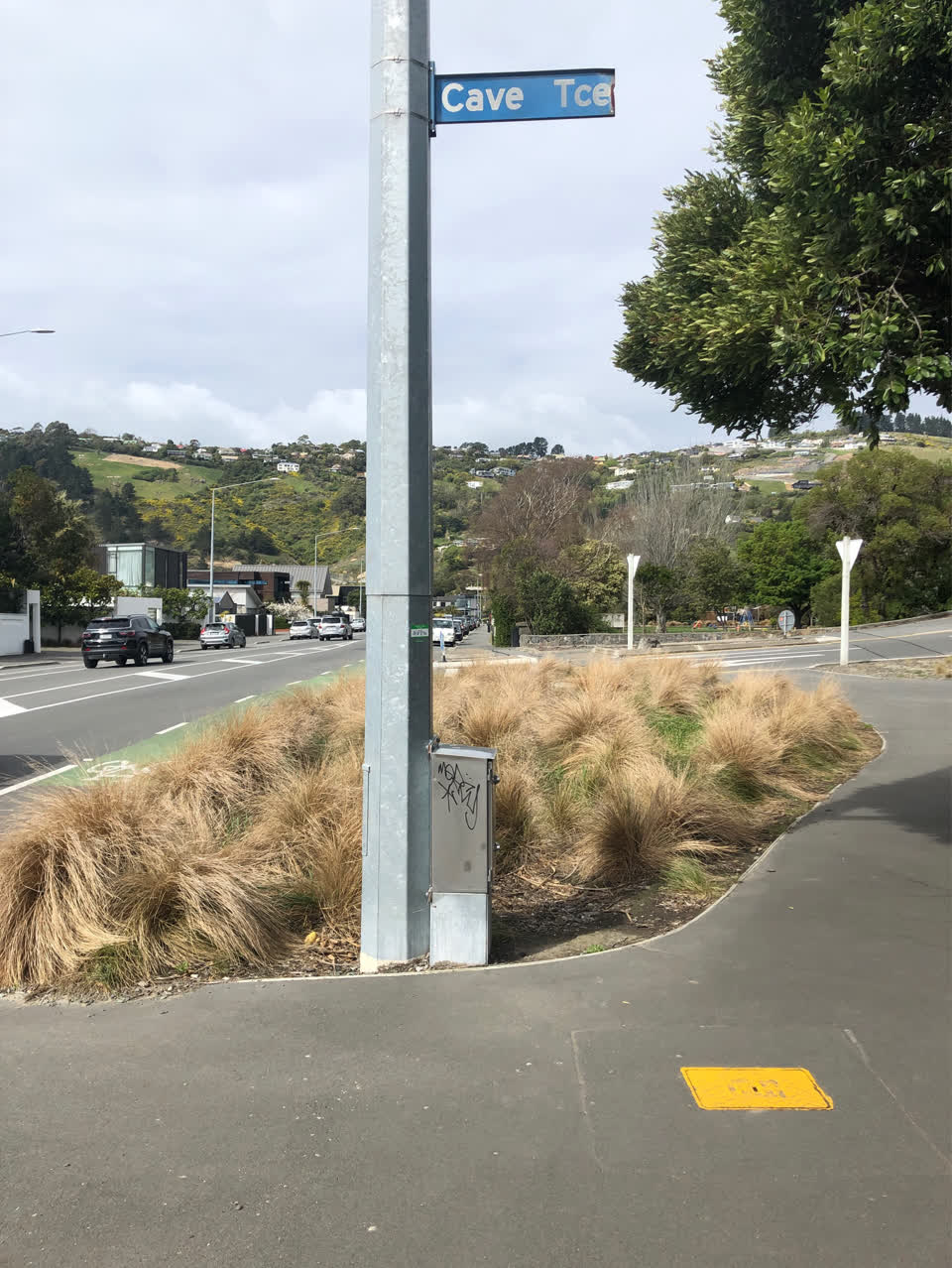 The photograph attached to this graffiti - concrete street light pole report