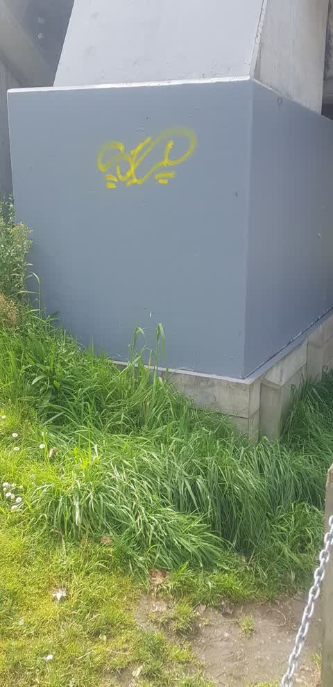 Graffiti, a report photo