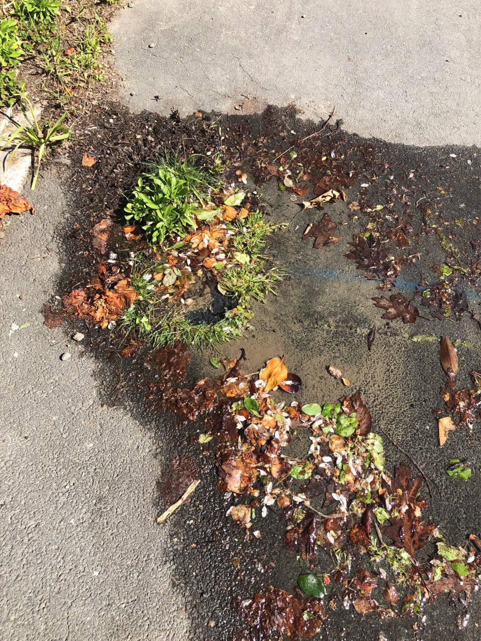 The photograph attached to this water leak report