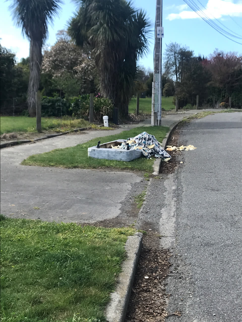 The photograph attached to this dumped rubbish report
