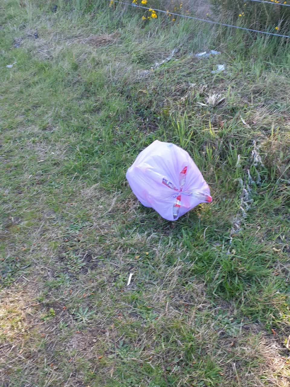 The photograph attached to this dumped rubbish report