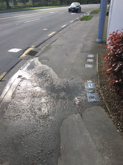 Water Leak, a report photo