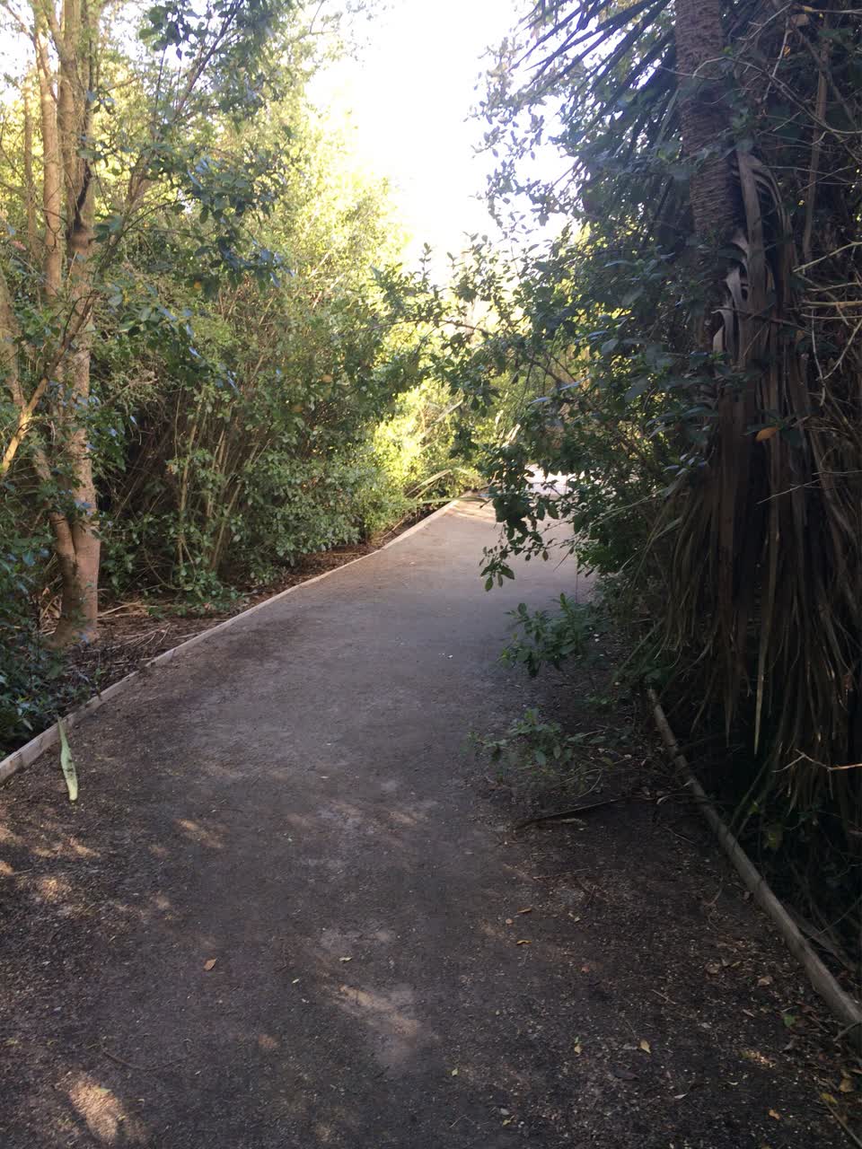 The photograph attached to this overgrown vegetation report