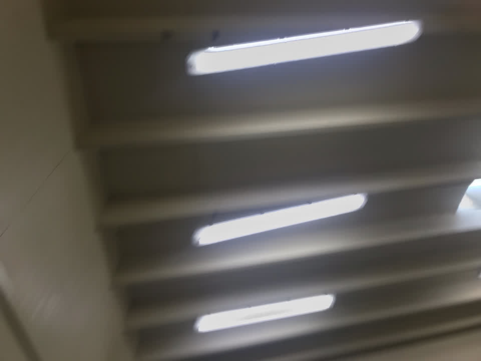 The photograph attached to this public toilet report