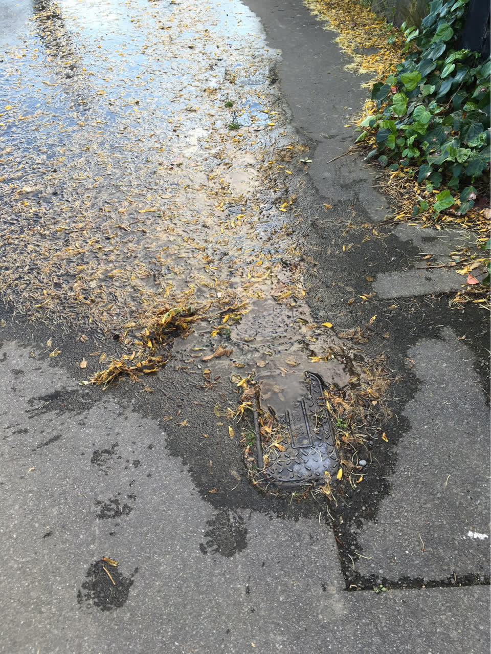 The photograph attached to this water leak report