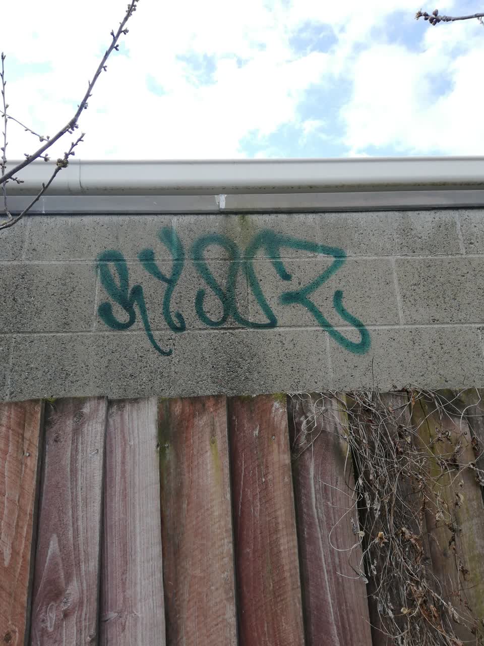 The photograph attached to this graffiti report