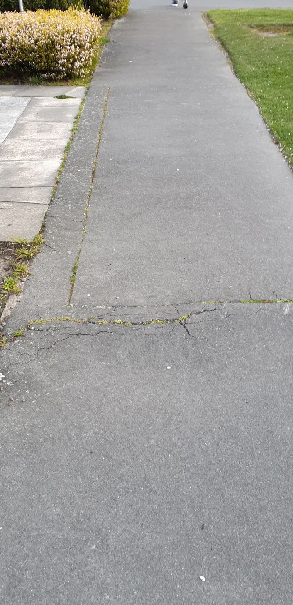 The photograph attached to this pavement - general report