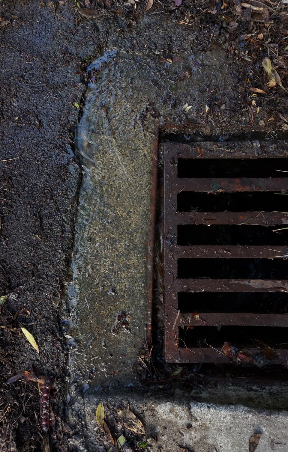 The photograph attached to this water leak report