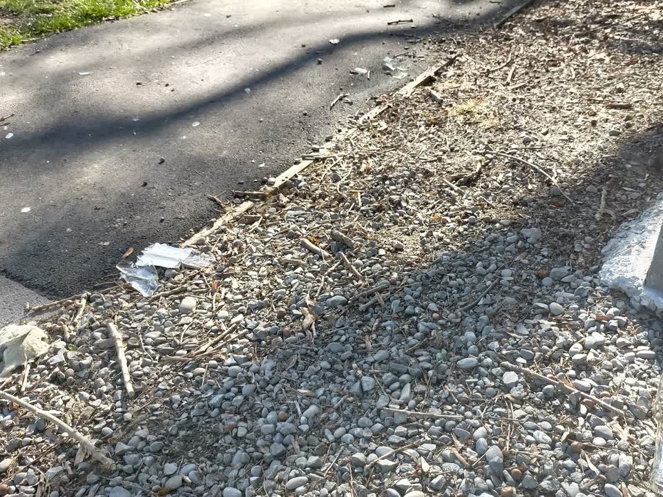The photograph attached to this vandalism - general report