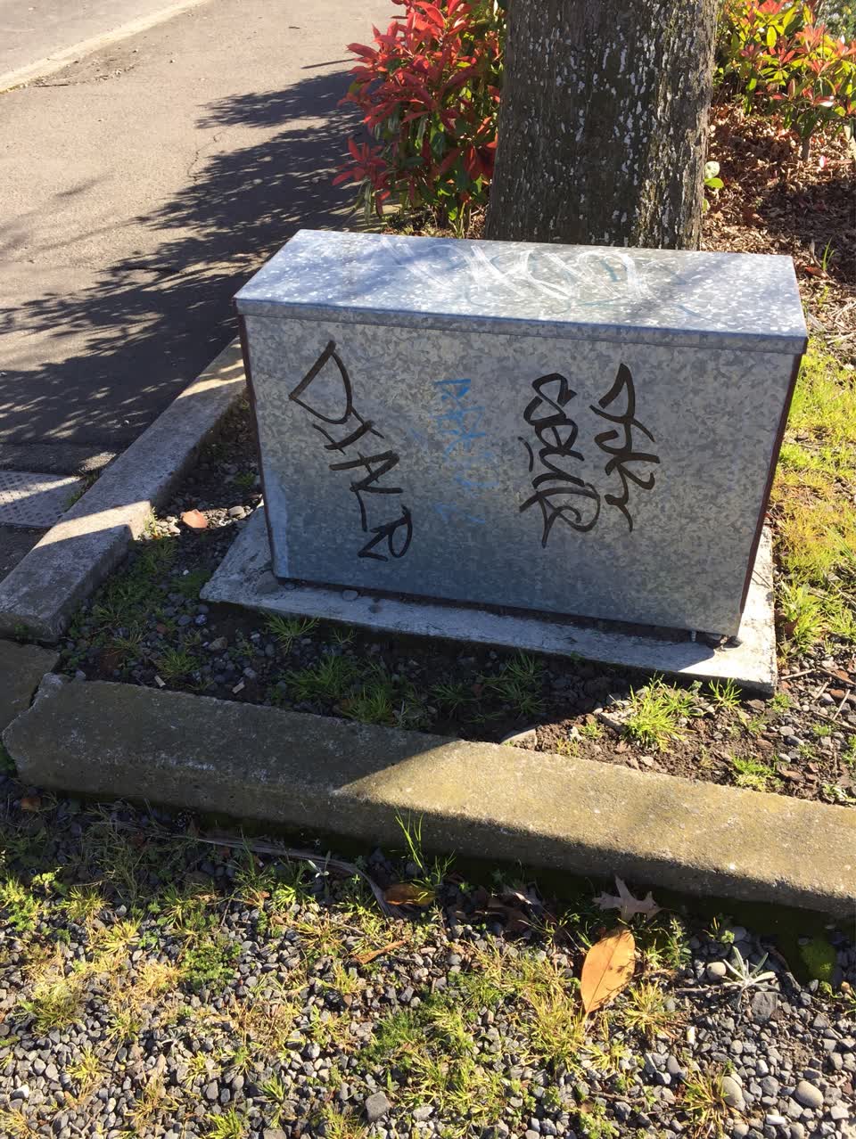 The photograph attached to this graffiti report