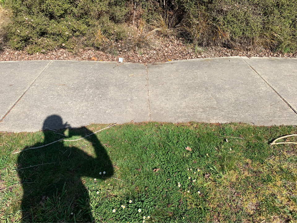 The photograph attached to this pavement - damaged report