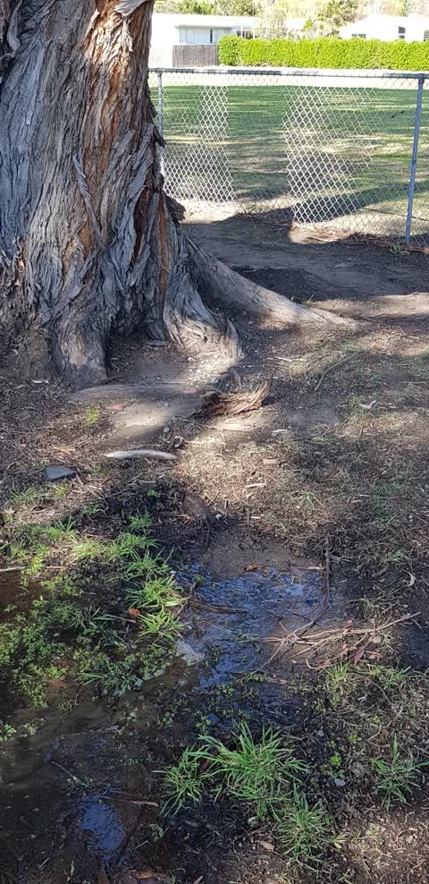 Water Leak, a report photo