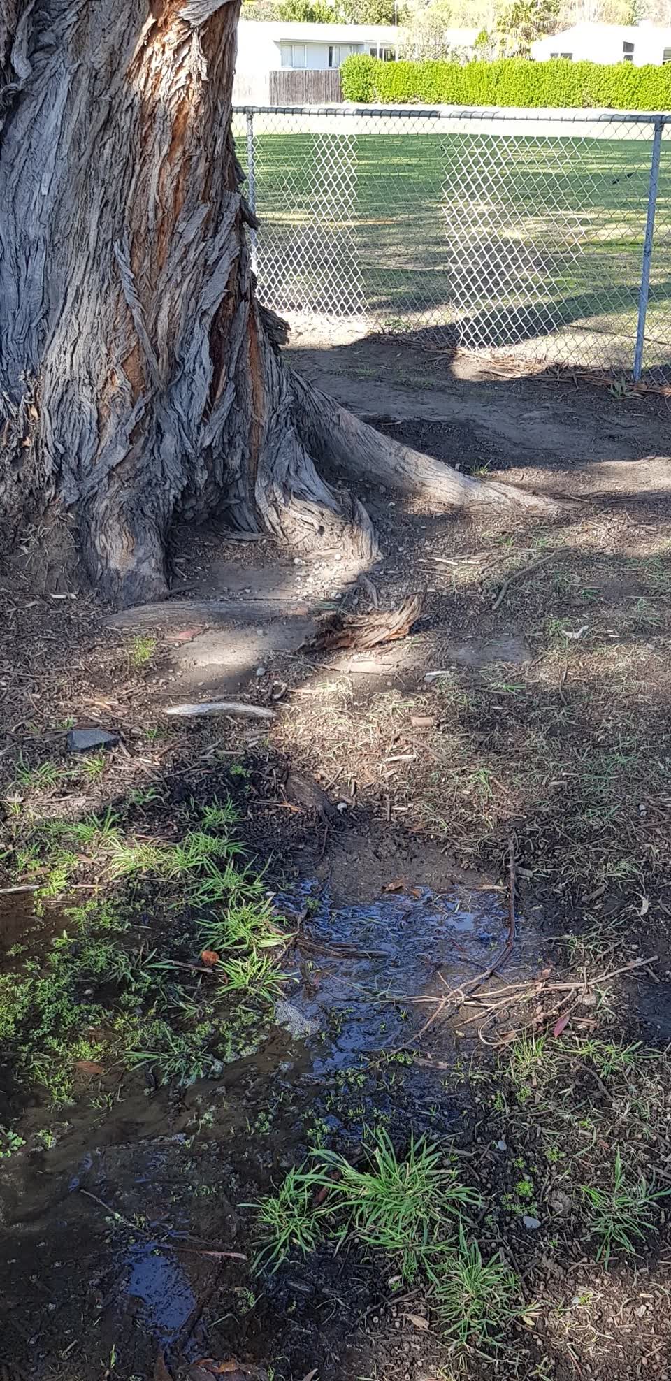 The photograph attached to this water leak report
