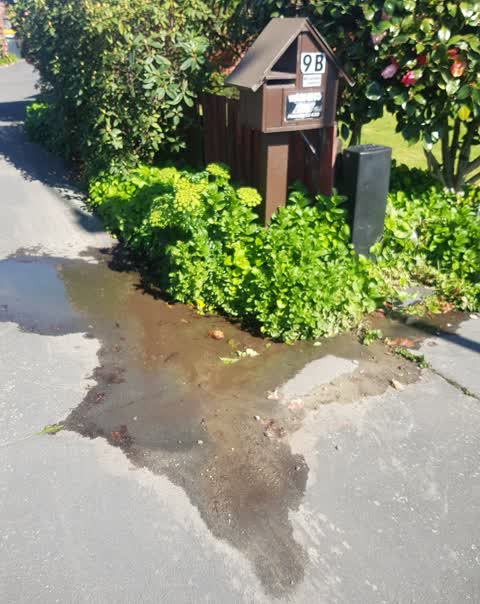 Water Leak, a report photo