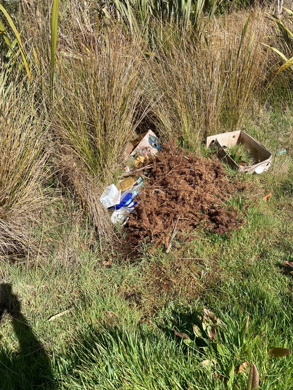 The photograph attached to this dumped rubbish report