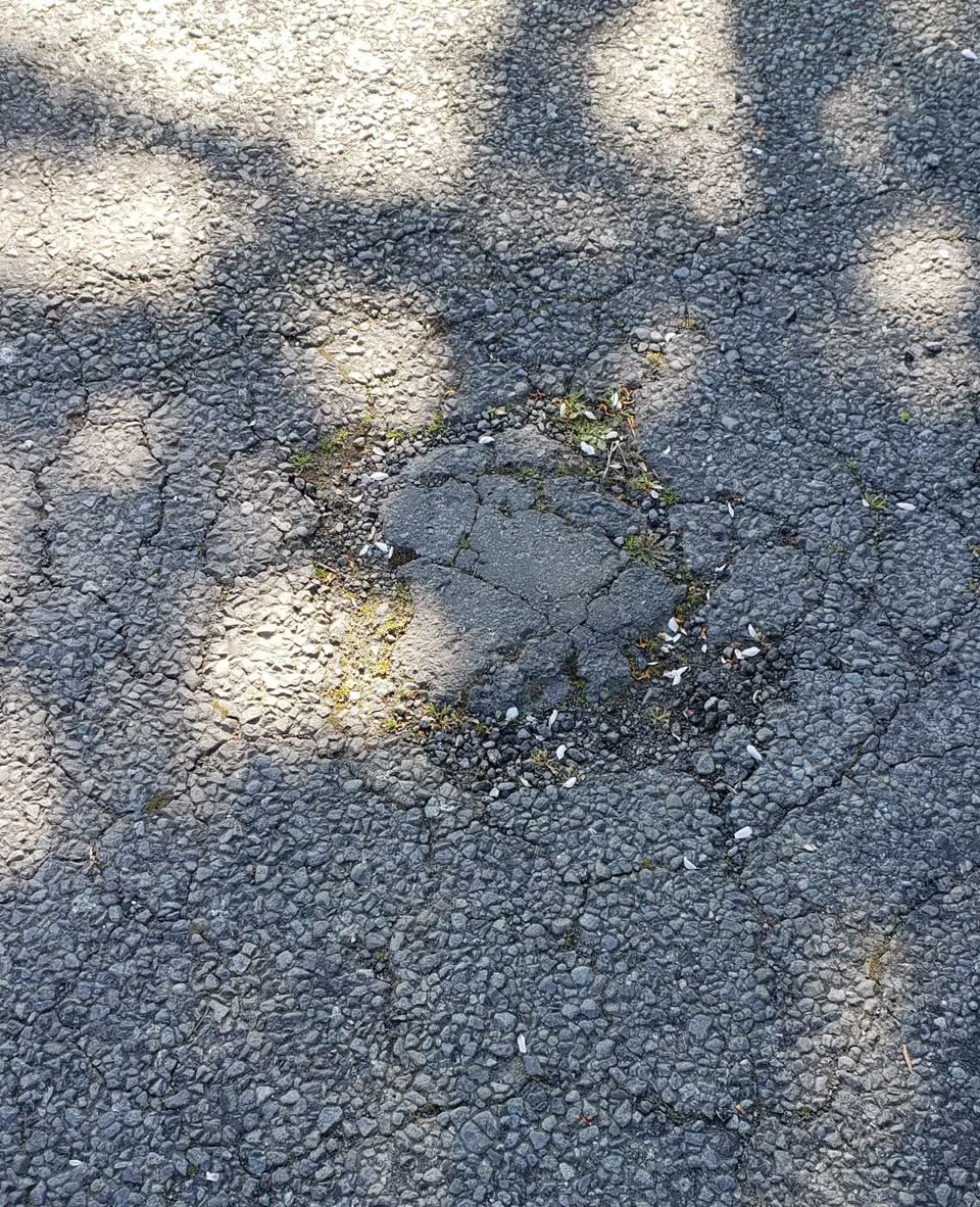The photograph attached to this pothole report