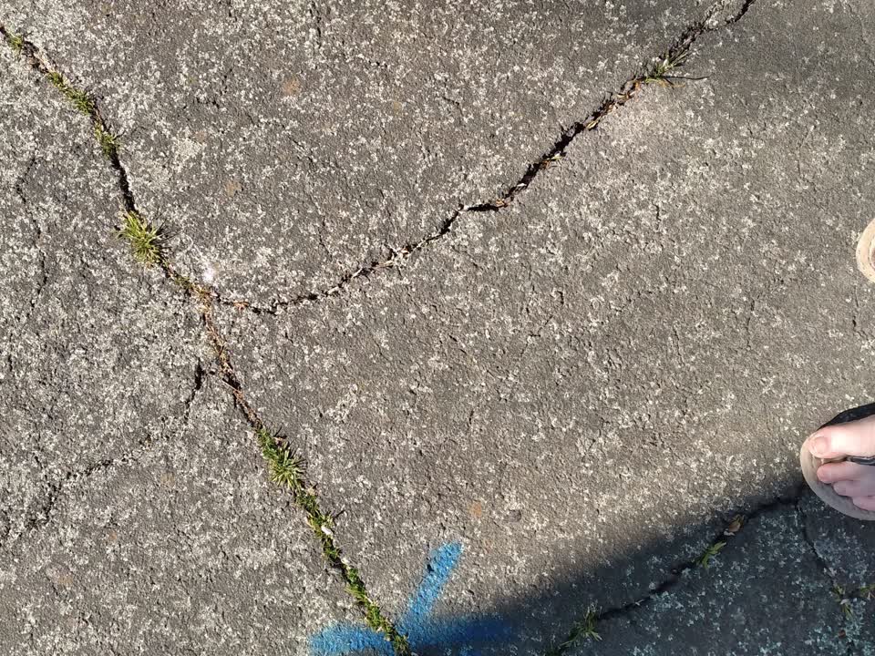 The photograph attached to this pavement - damaged report