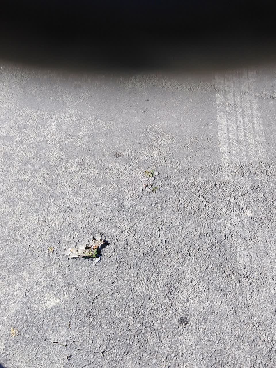 The photograph attached to this pavement - damaged report