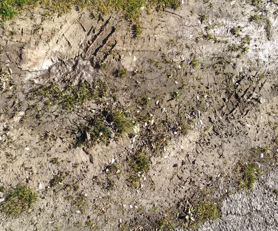 The photograph attached to this damaged road report