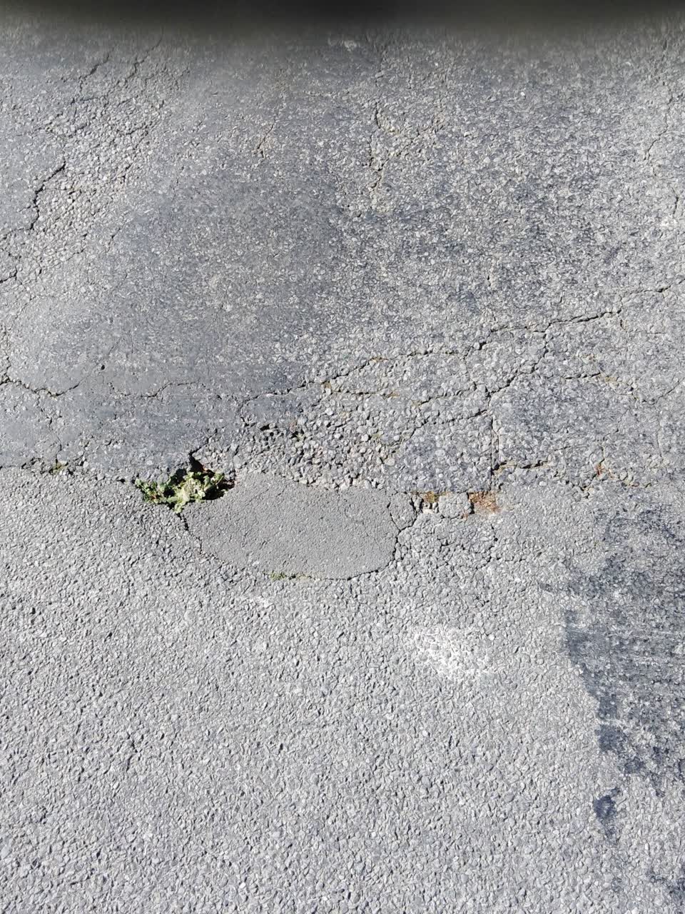 The photograph attached to this pothole report