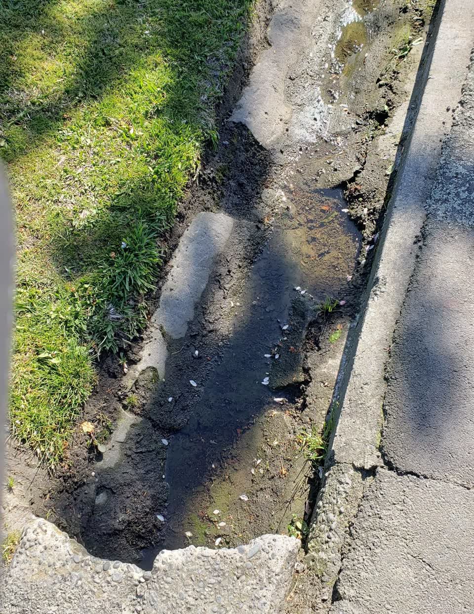 The photograph attached to this pavement - damaged report