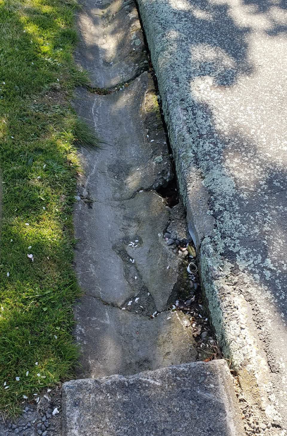 The photograph attached to this pavement - damaged report